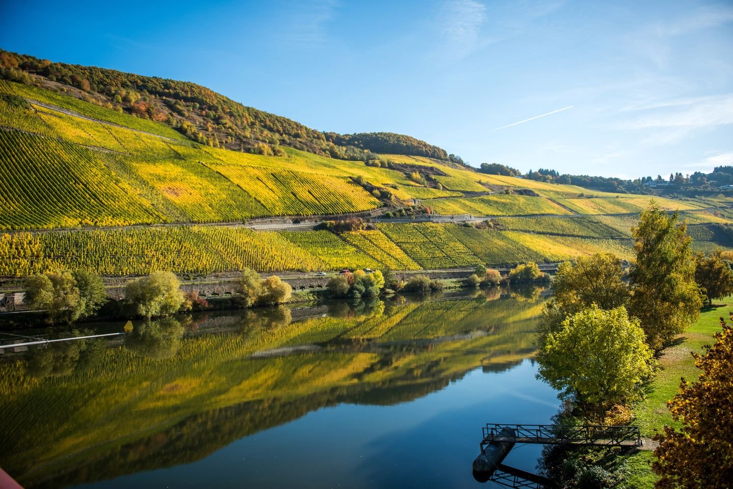 Weingut Grans-Fassian