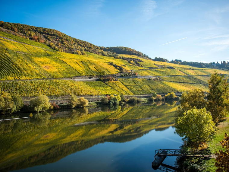 Weingut Grans-Fassian, Leiwen, Germany