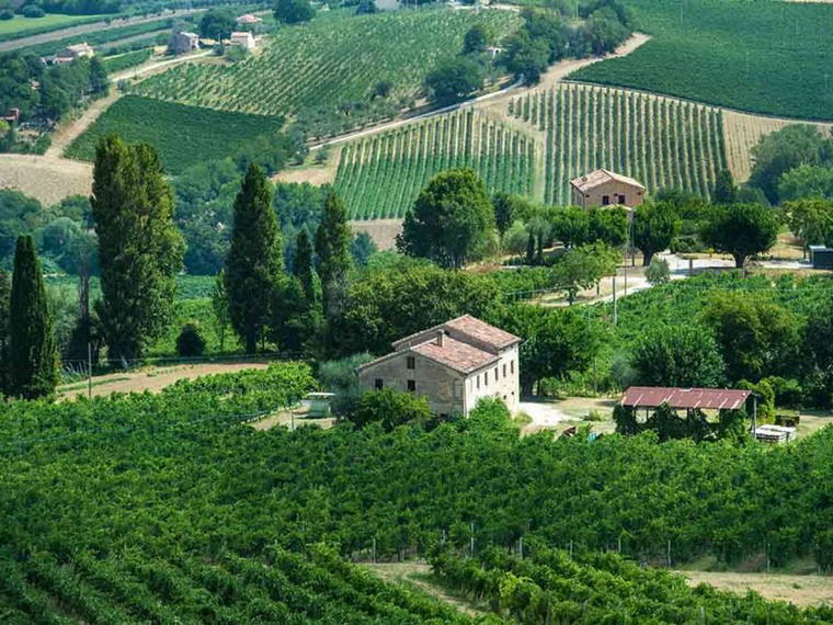 Umani Ronchi, Osimo, Italy