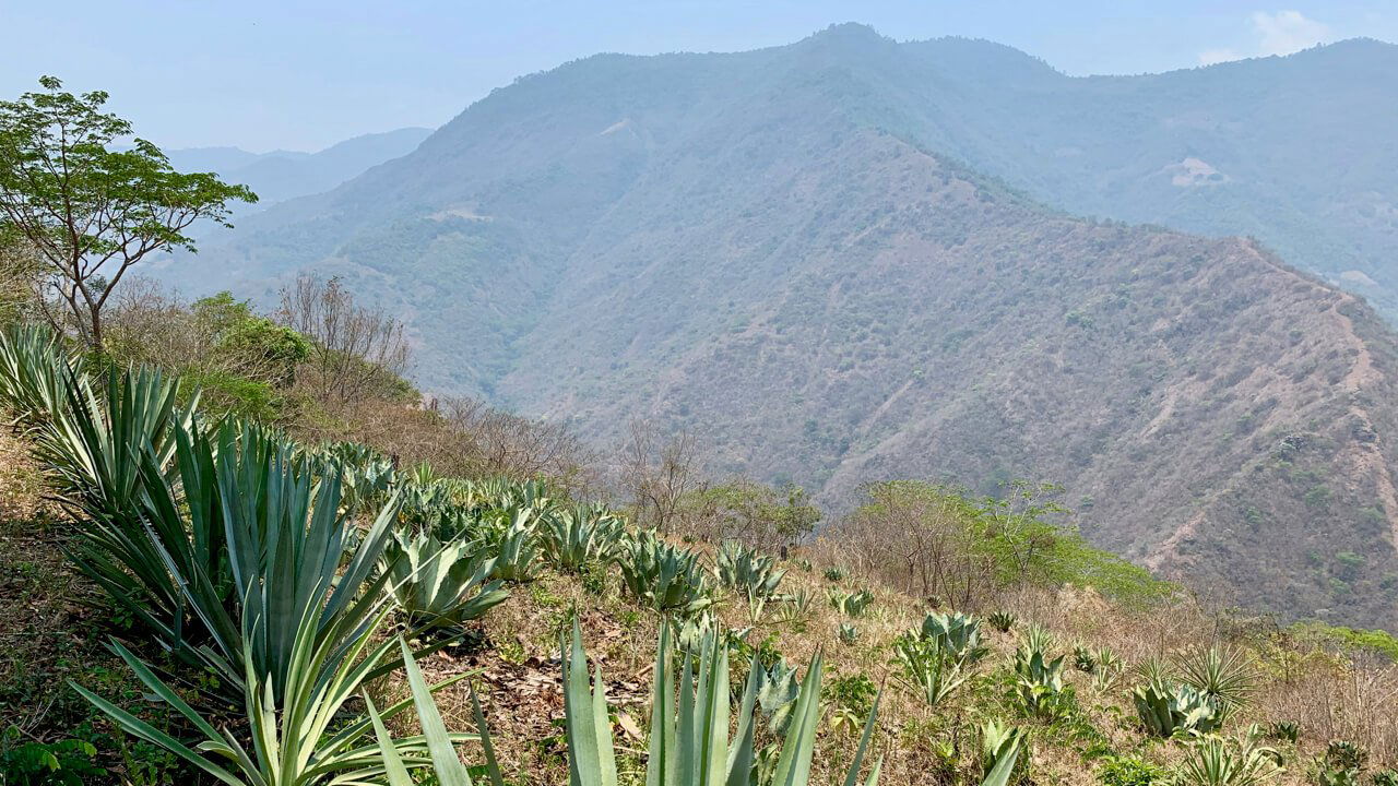 Tosba, Winery in San Cristóbal Lachirioag