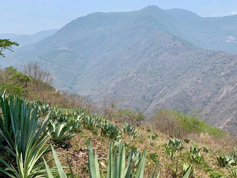 Tosba, San Cristóbal Lachirioag, Mexico