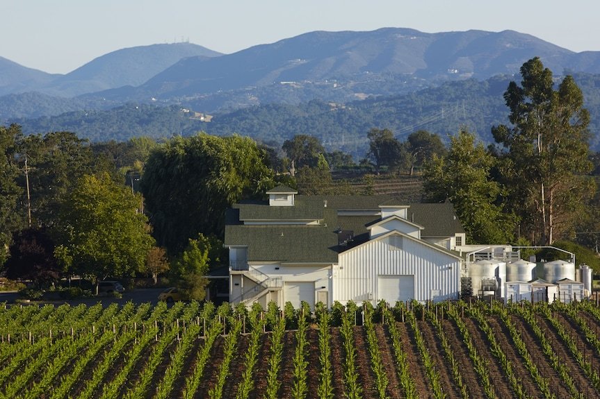 SummerWood Winery, Paso Robles, United States