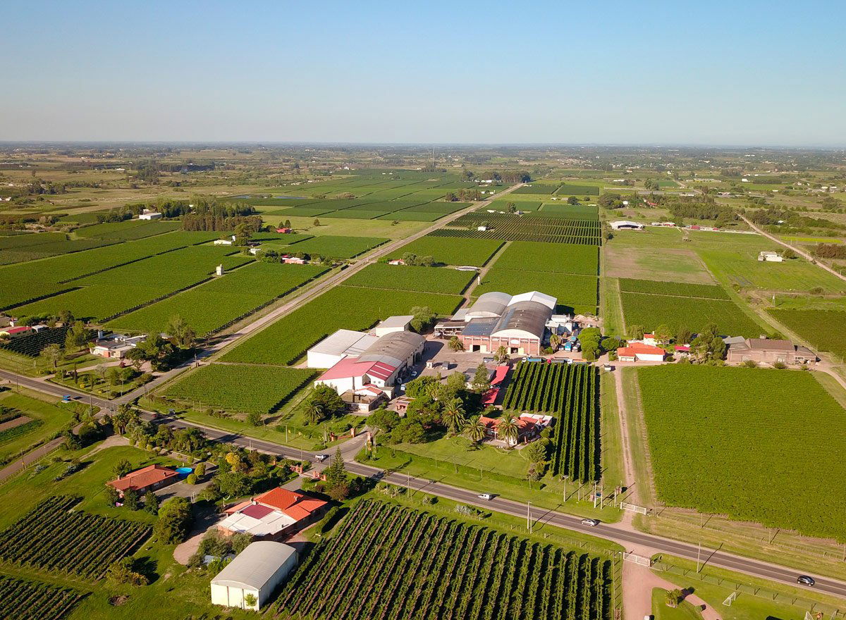 Bodega Traversa winery in Montevideo, Uruguay