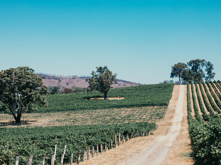 Unico Zelo, Adelaide Hills, Australia