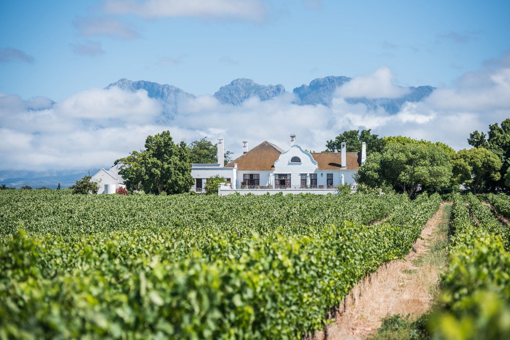 Robertson Winery winery in Robertson, South Africa