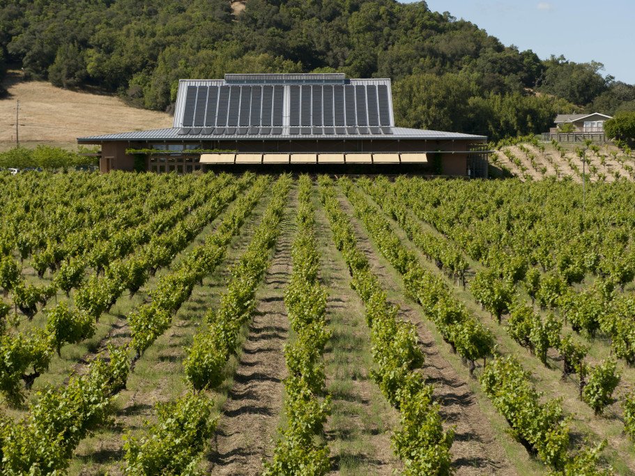 Ridge Vineyards (Lytton Springs) winery in Healdsburg, United States