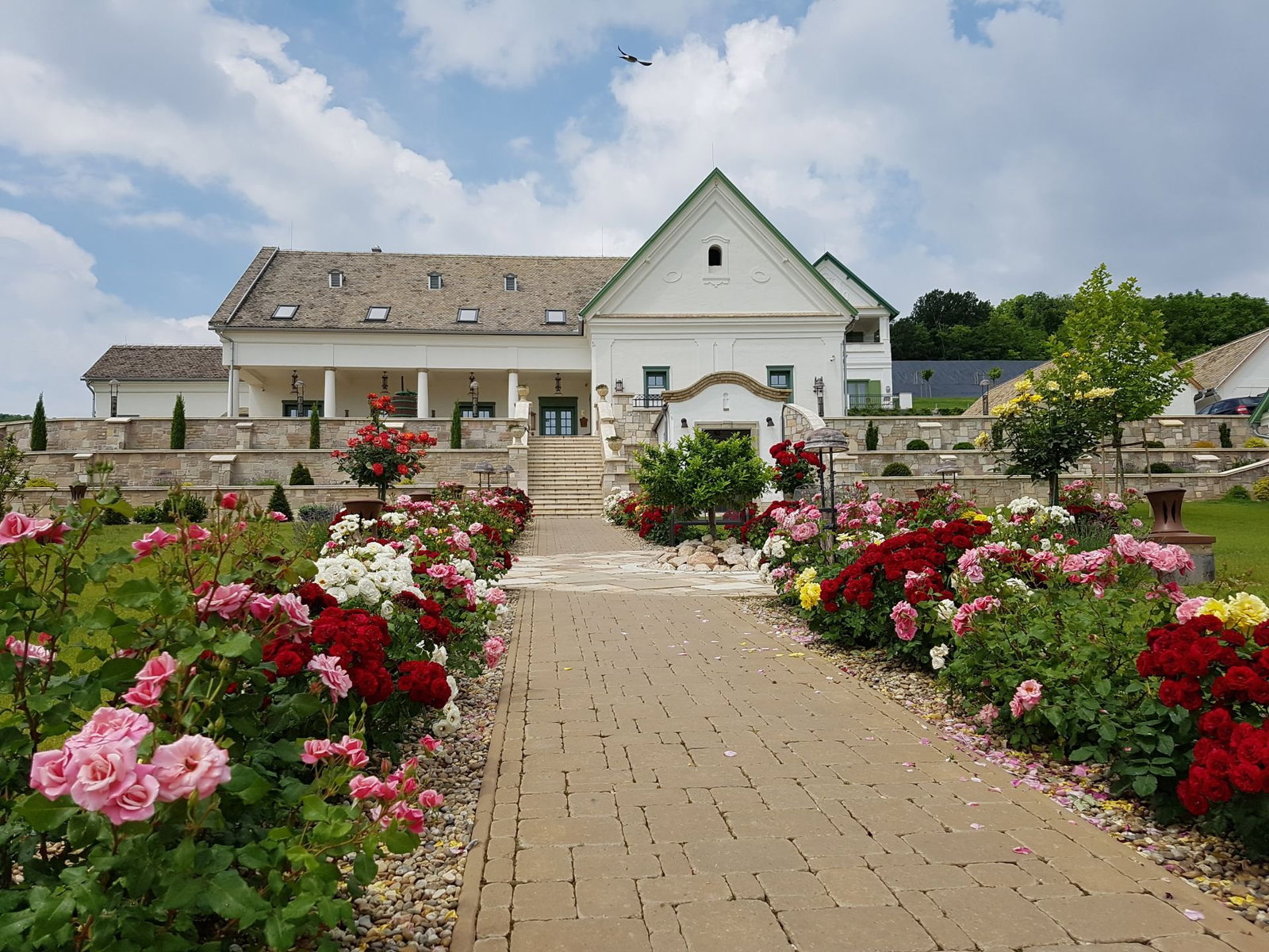Takler Winery