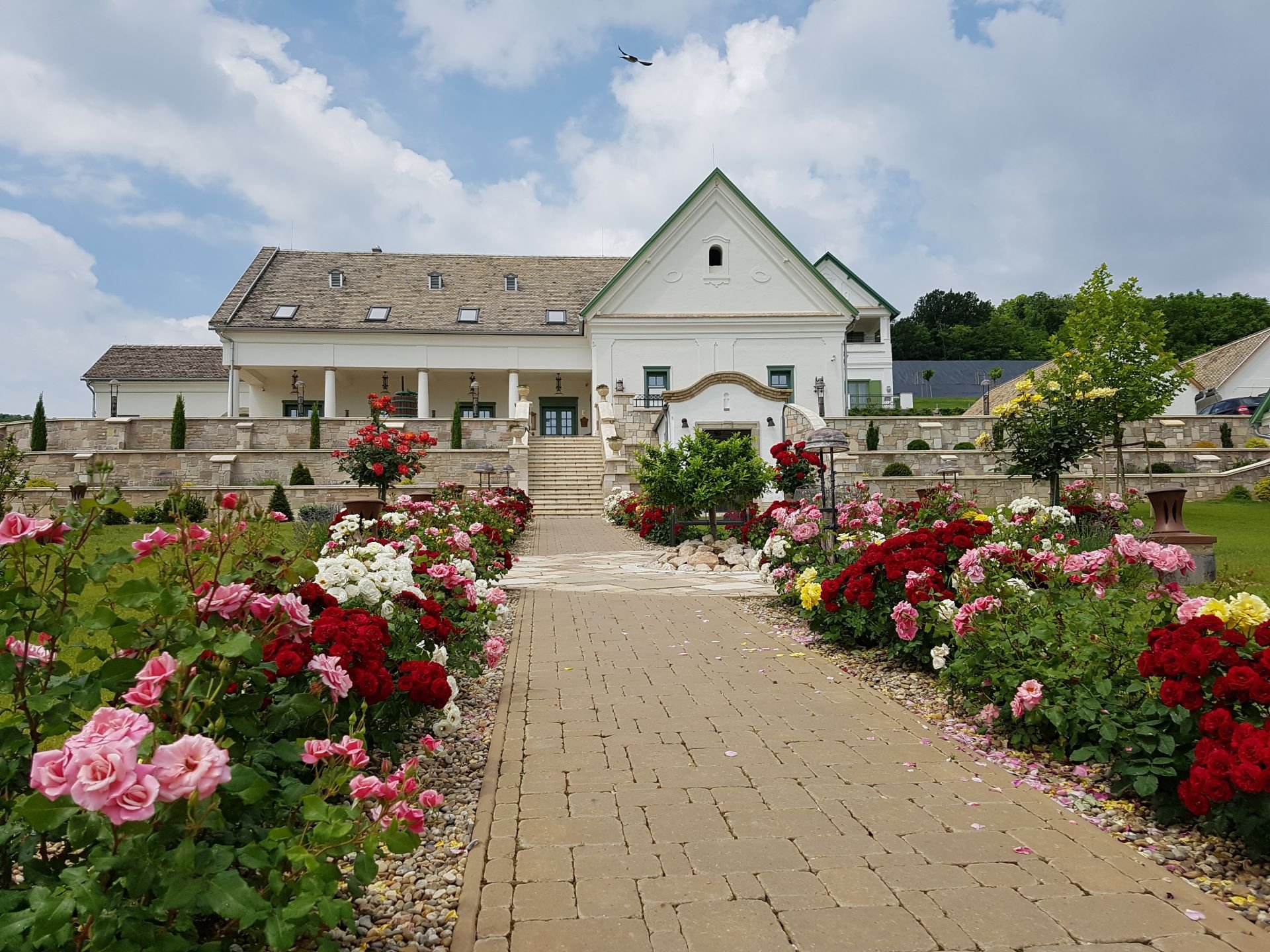 Takler Winery, Szekszárd, Hungary