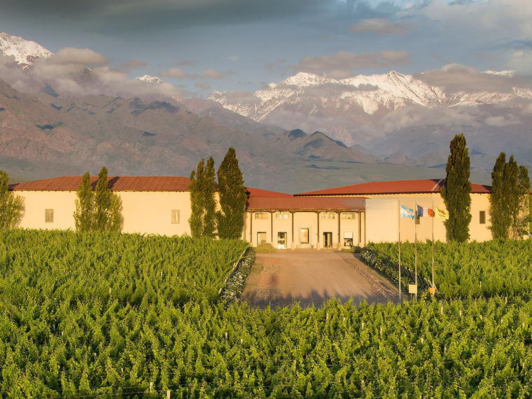Bodega Cuvelier Los Andes, Tunuyán, Argentina