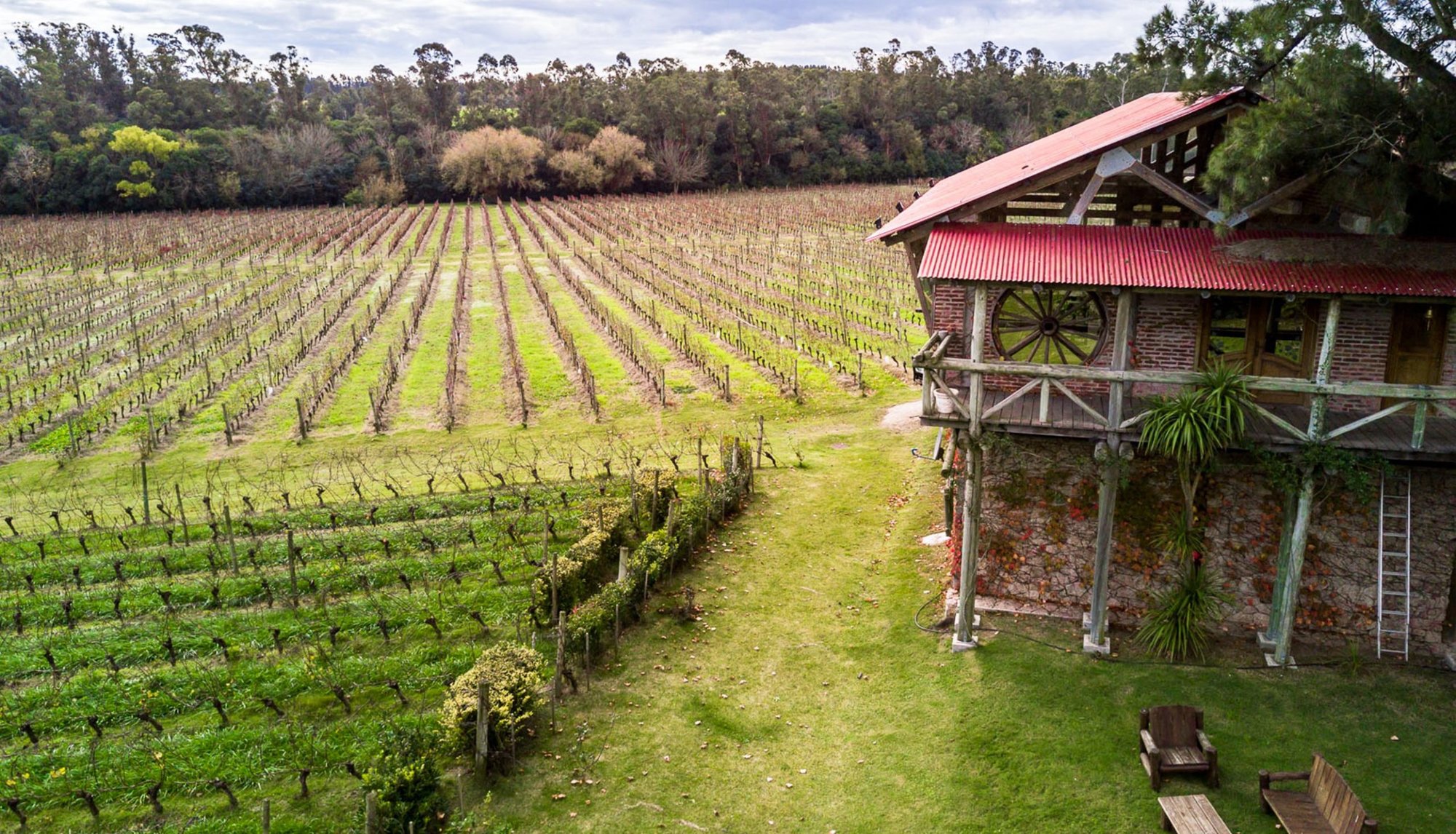 H. Stagnari winery in Canelones