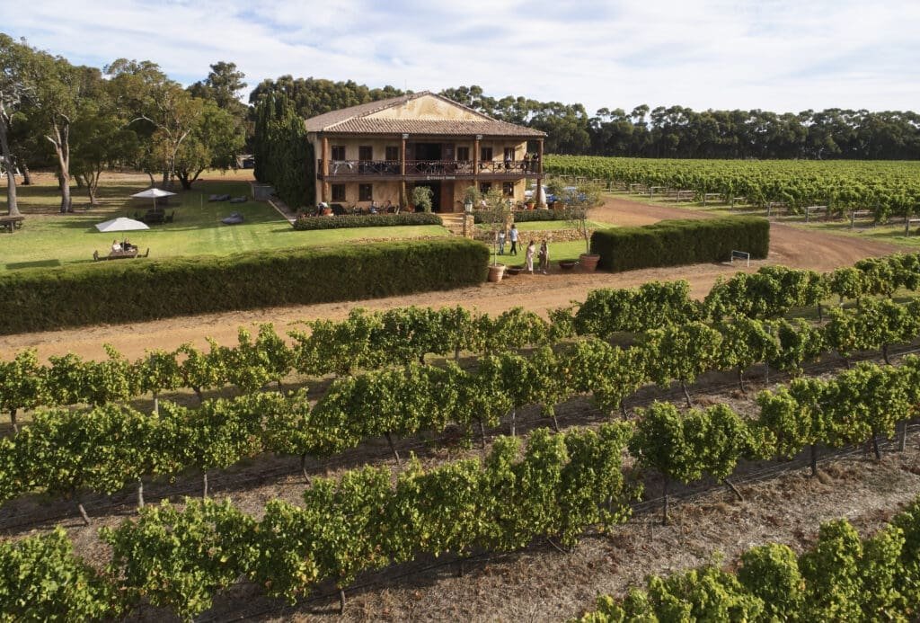 Cherubino Wines