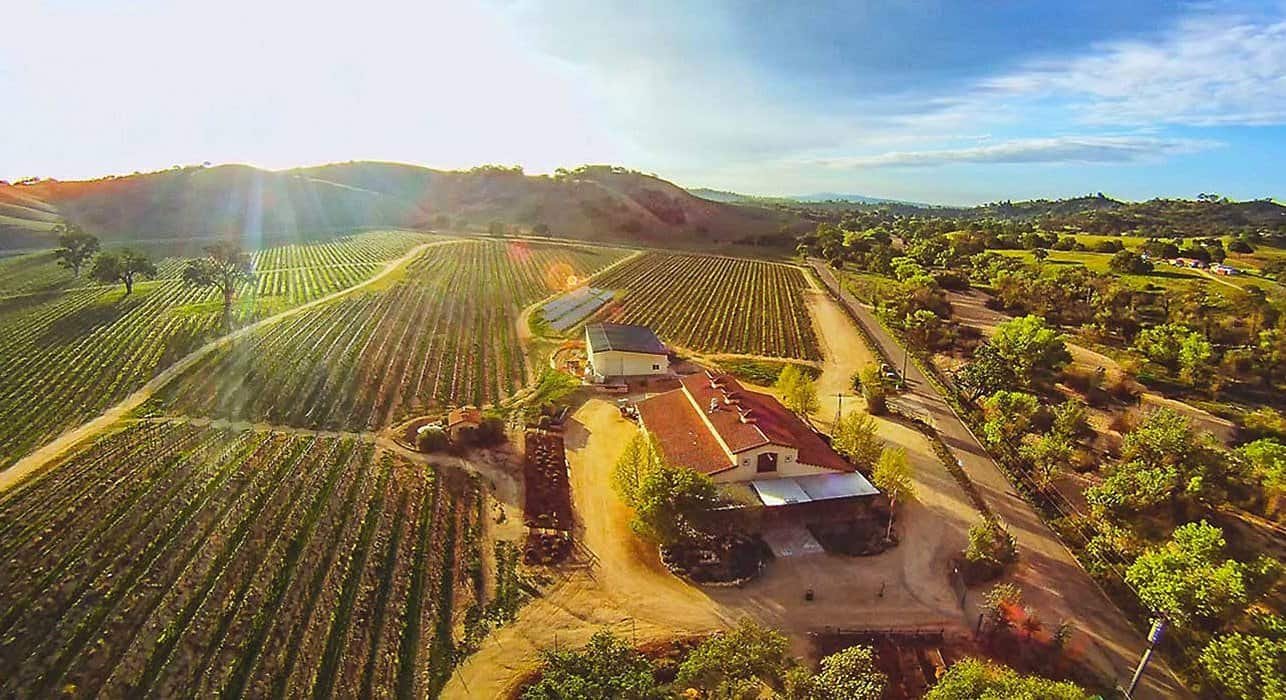 Cass Winery