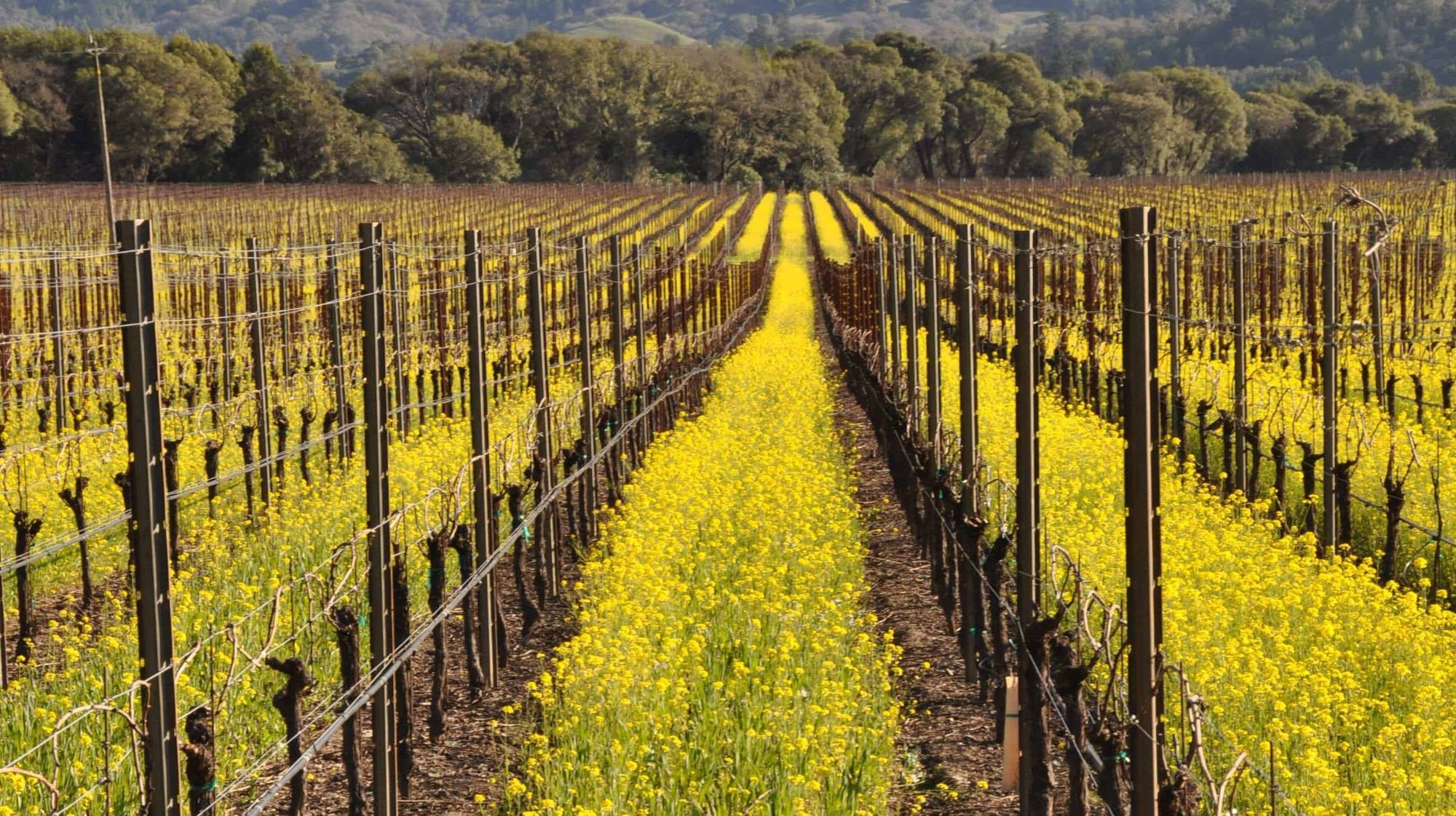 Fathers & Daughters Cellars