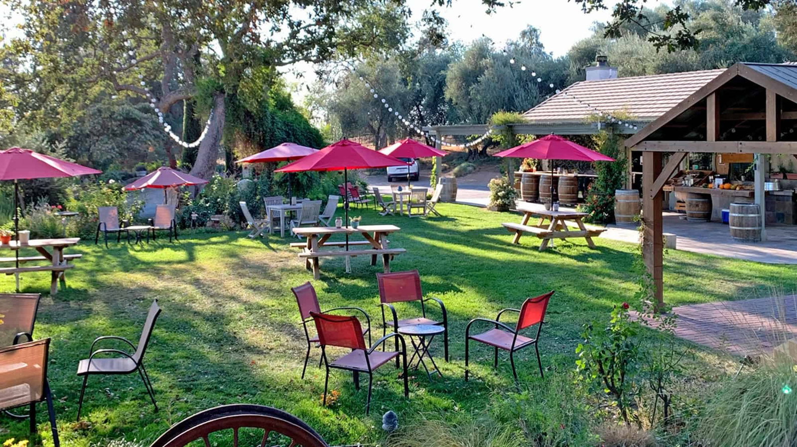 Still Waters Vineyards