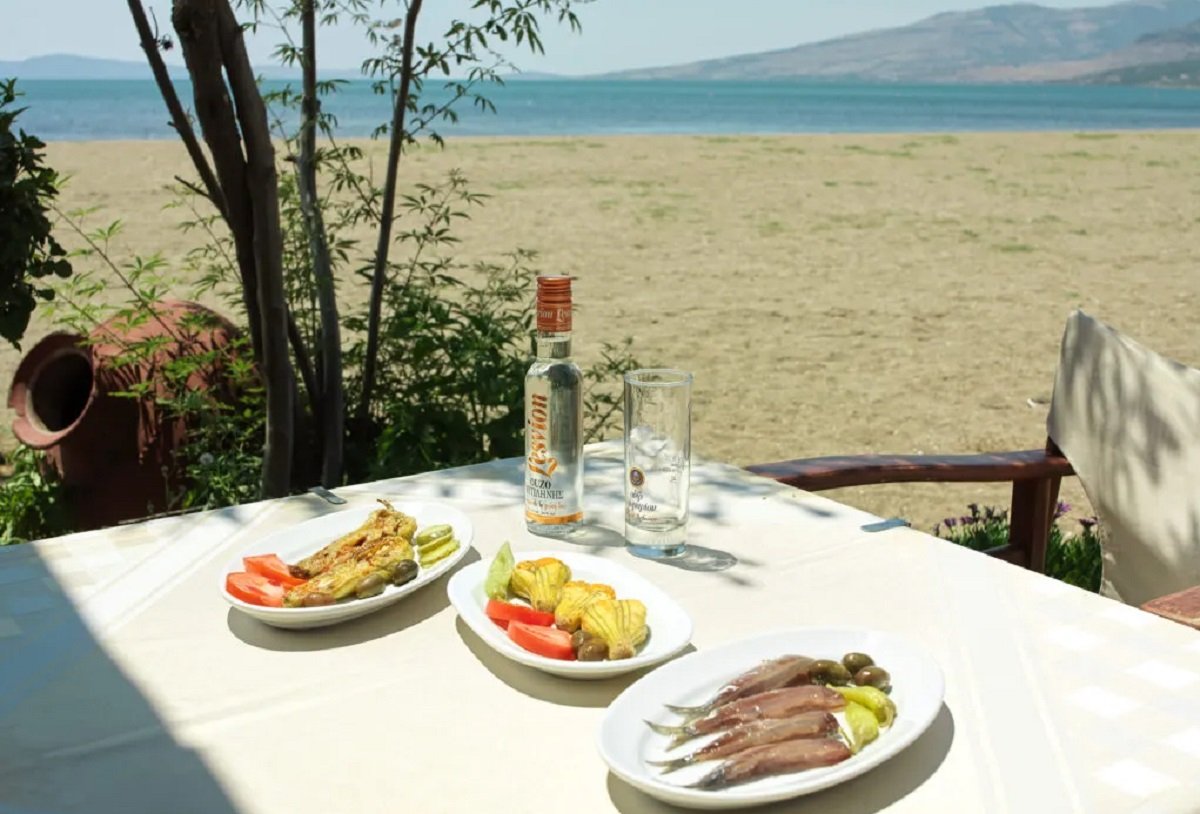 Filippou Distillery winery in Lesvos, Greece