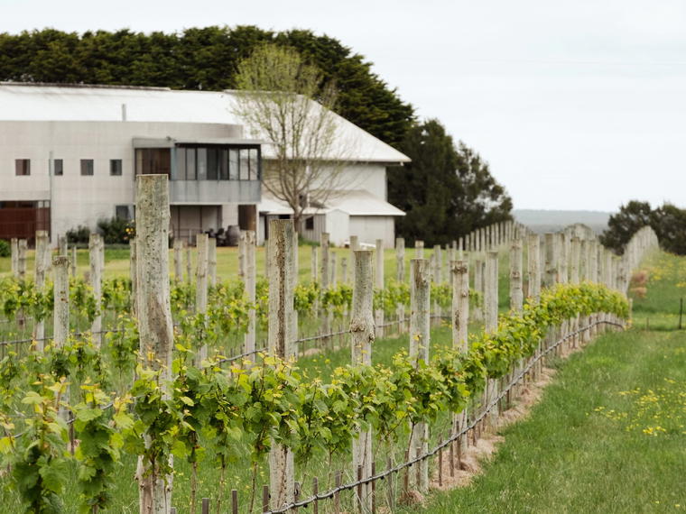 Crawford River Wines, Henty, Australia