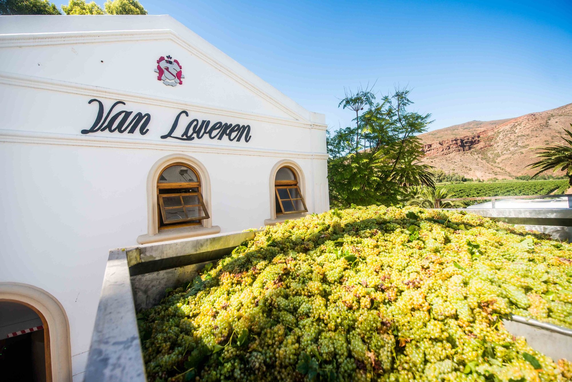 Van Loveren Family Vineyards winery in Robertson, South Africa