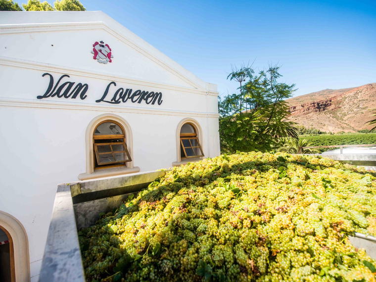 Van Loveren Family Vineyards, Robertson, South Africa