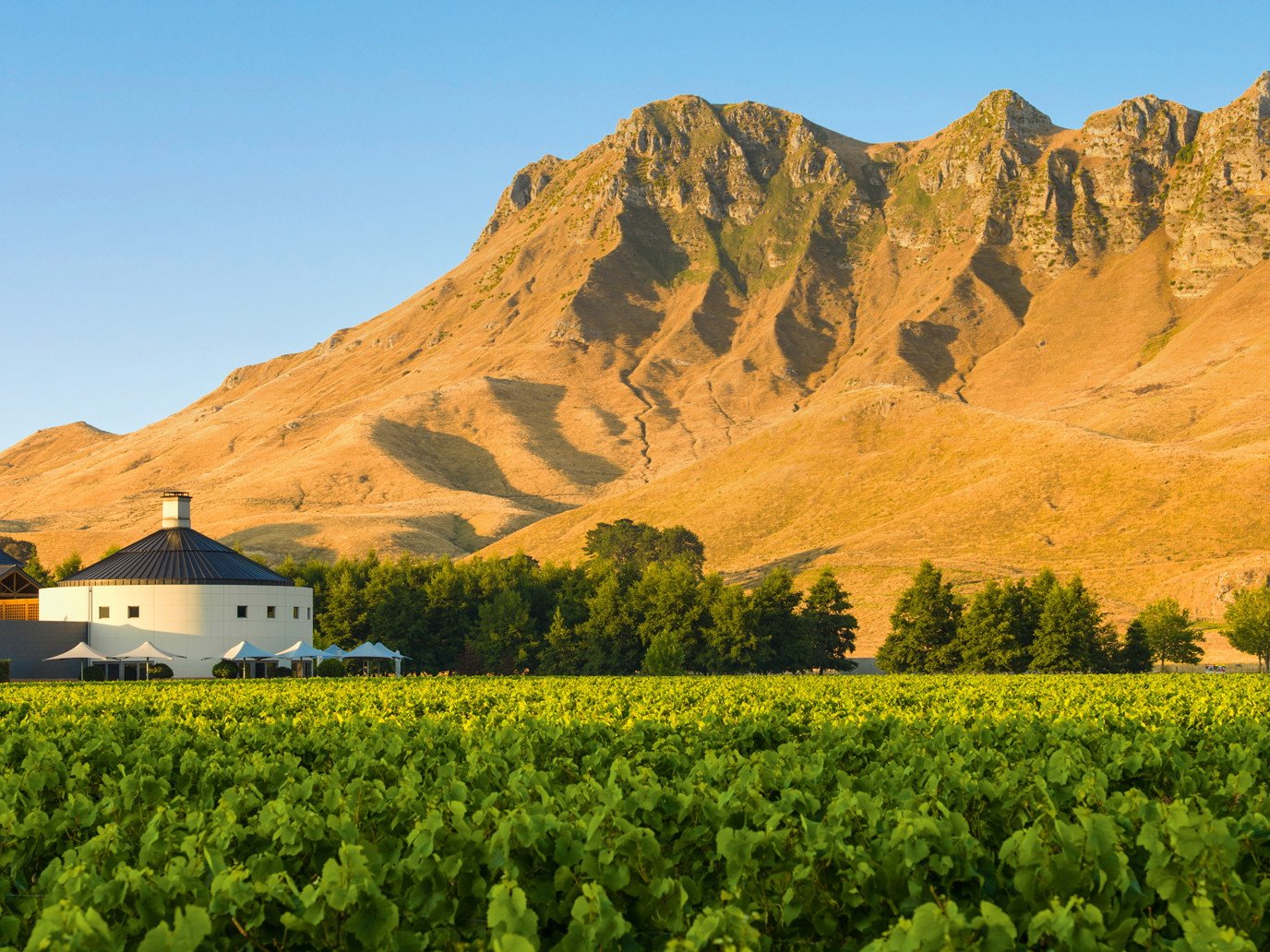 Weingut Mantlerhof winery in Gedersdorf, Austria