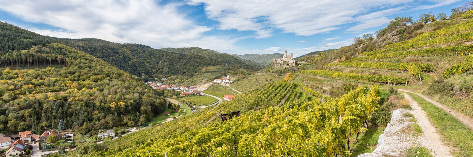 Weingut Familie Proidl