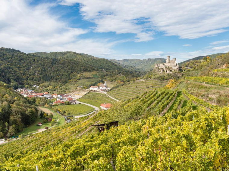 Weingut Familie Proidl, Senftenberg, Austria