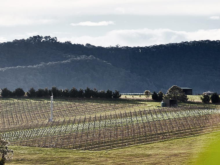 Mount Mary, Yarra Valley, Australia