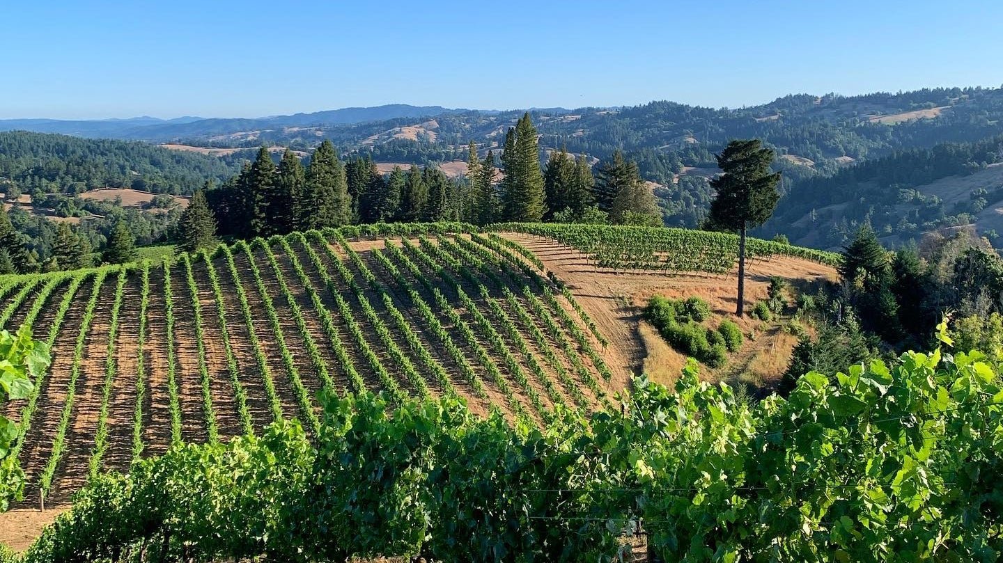 Hirsch Vineyards