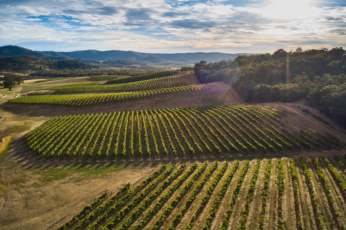 Dalwhinnie winery in Pyrenees, Australia