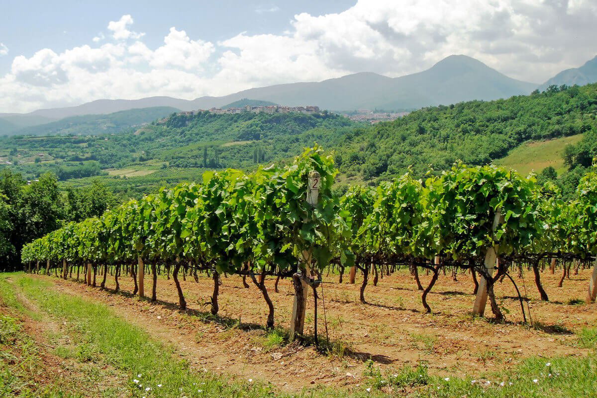 Vaeni Naoussa, Winery in Naoussa