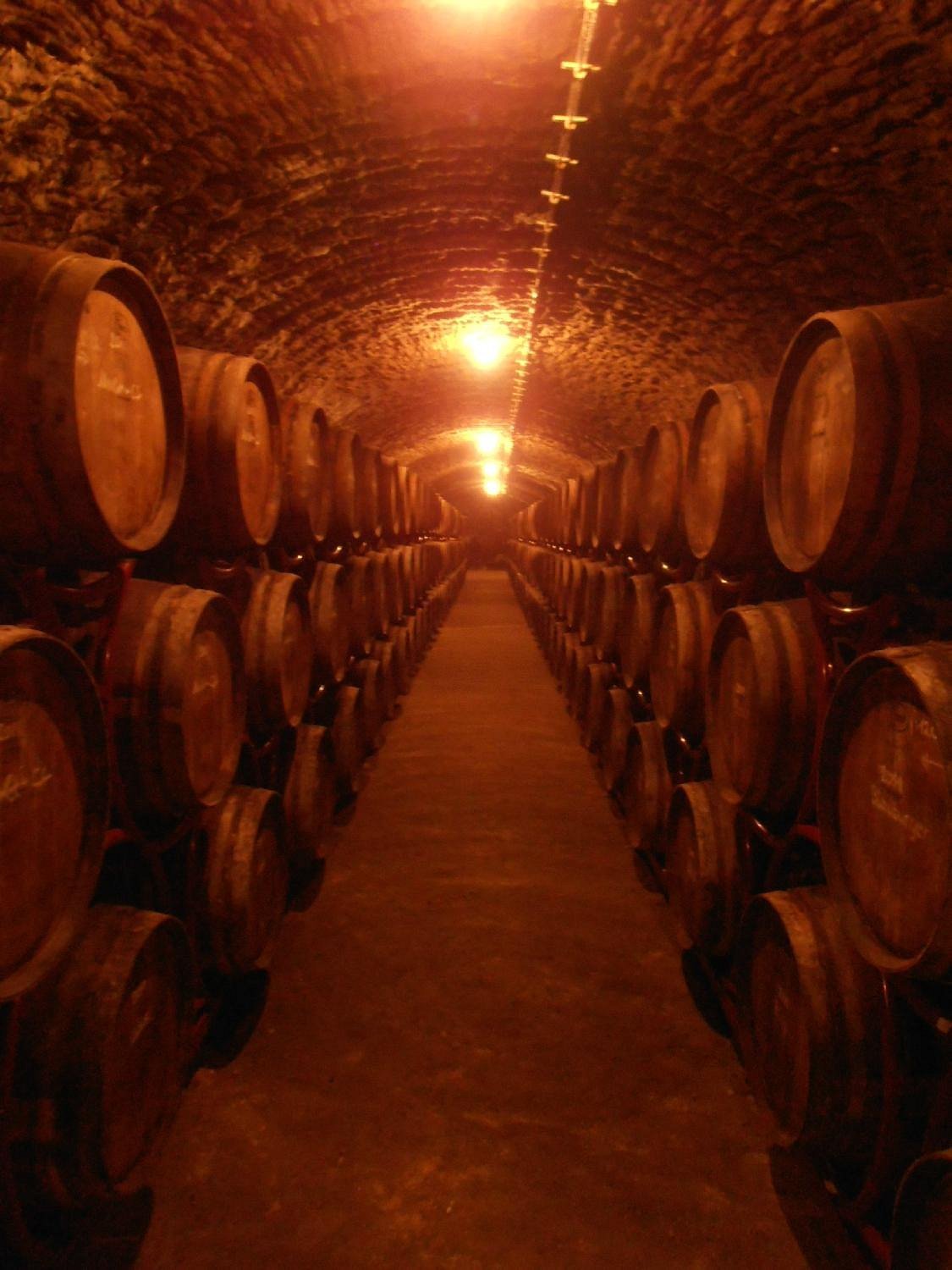 Thummerer Winery, Noszvaj, Hungary