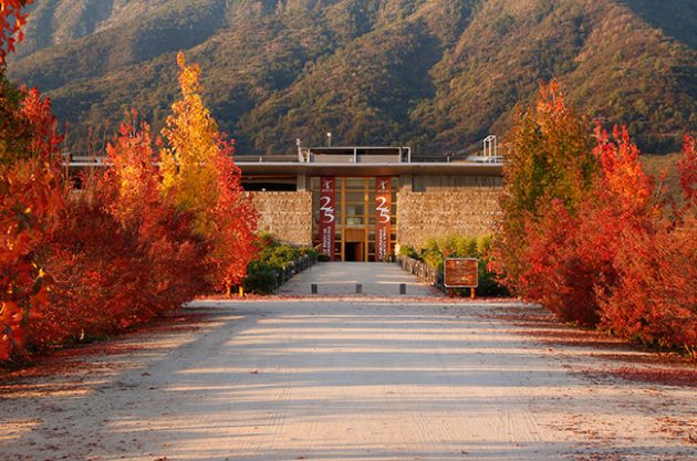 Viña Montes, Winery in Santa Cruz