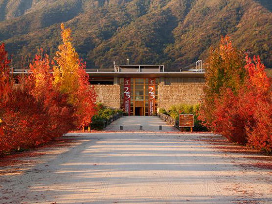Viña Montes, Santa Cruz, Chile