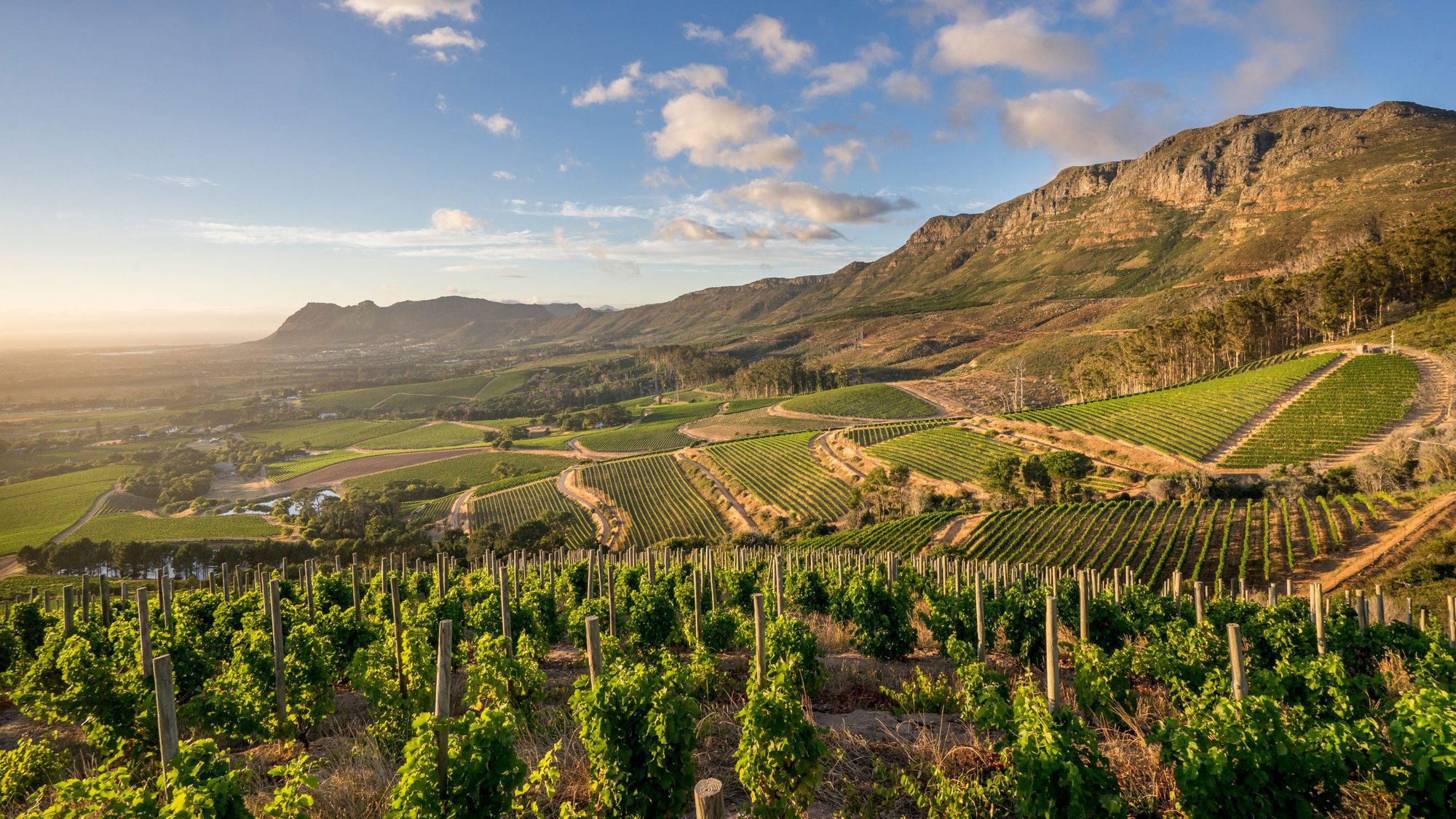Klein Constantia winery in Cape Town, South Africa