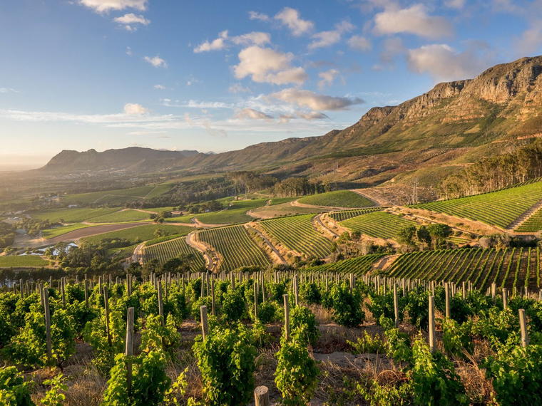 Klein Constantia, Cape Town, South Africa