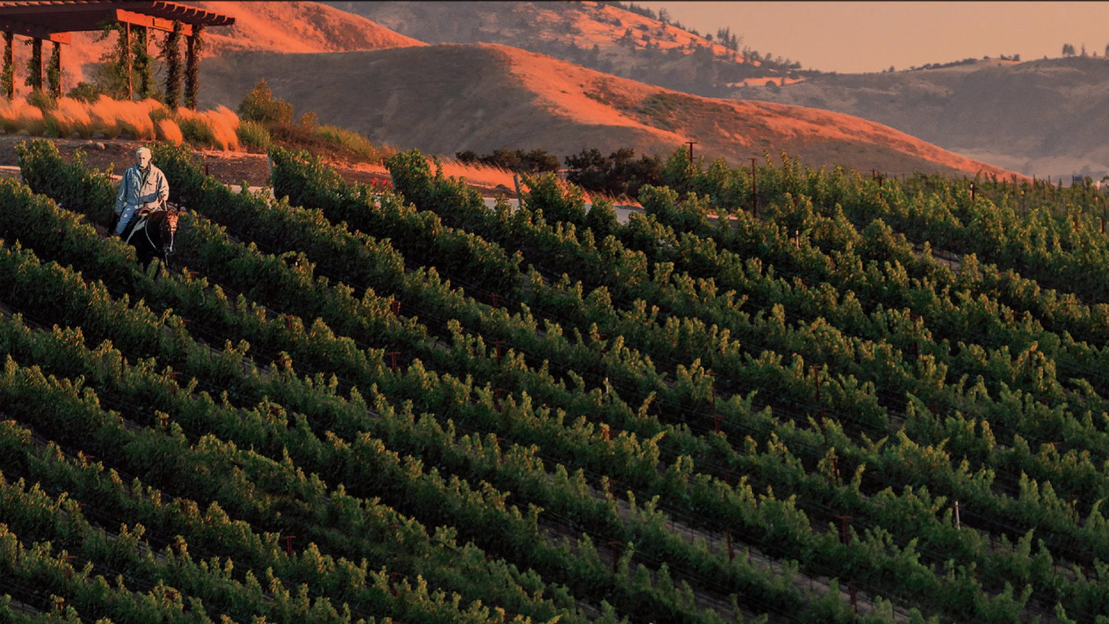 Crown Point Vineyards
