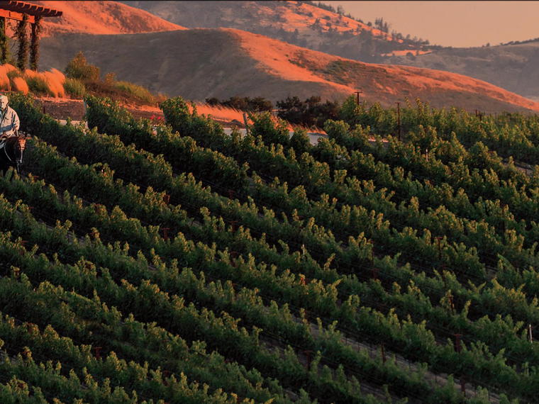 Crown Point Vineyards, Santa Ynez, United States