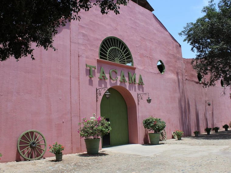 Tacama Winery, Ica, Peru