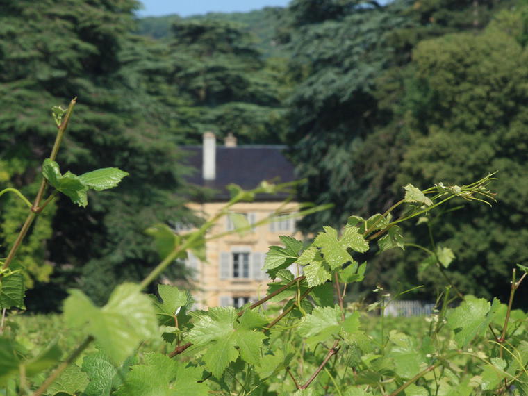 Domaine Henri Rebourseau, Gevrey-Chambertin, France