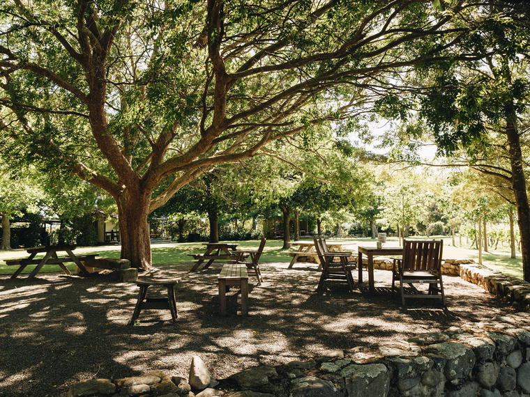Ata Rangi, Martinborough, New Zealand