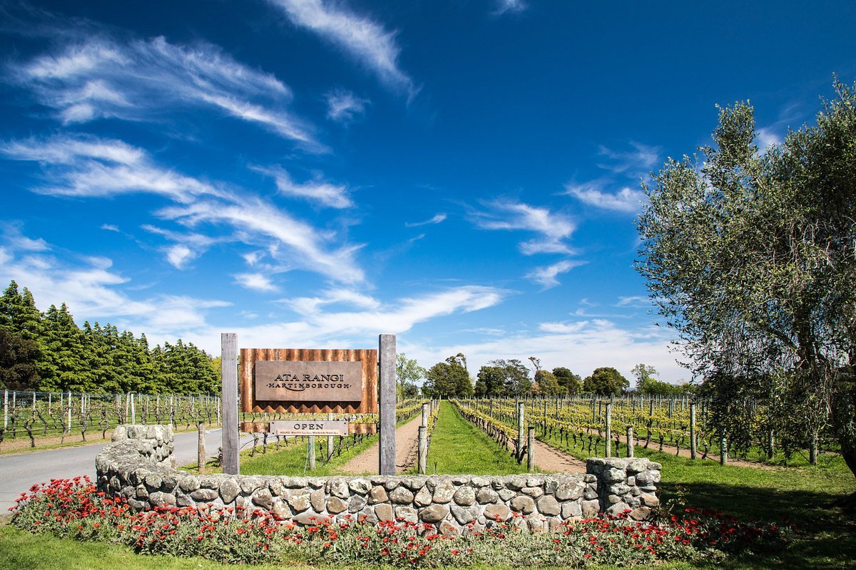 Ata Rangi winery in Martinborough, New Zealand