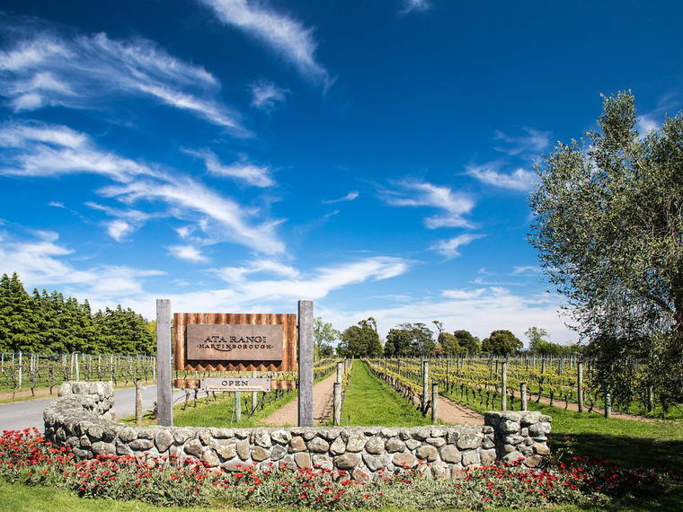 Ata Rangi, Martinborough, New Zealand