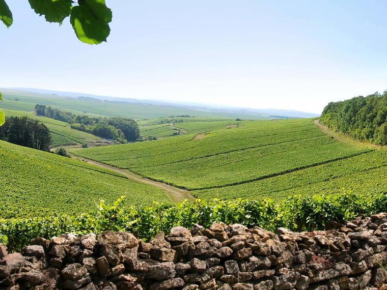 Maison Louis Jadot, Beaune, France