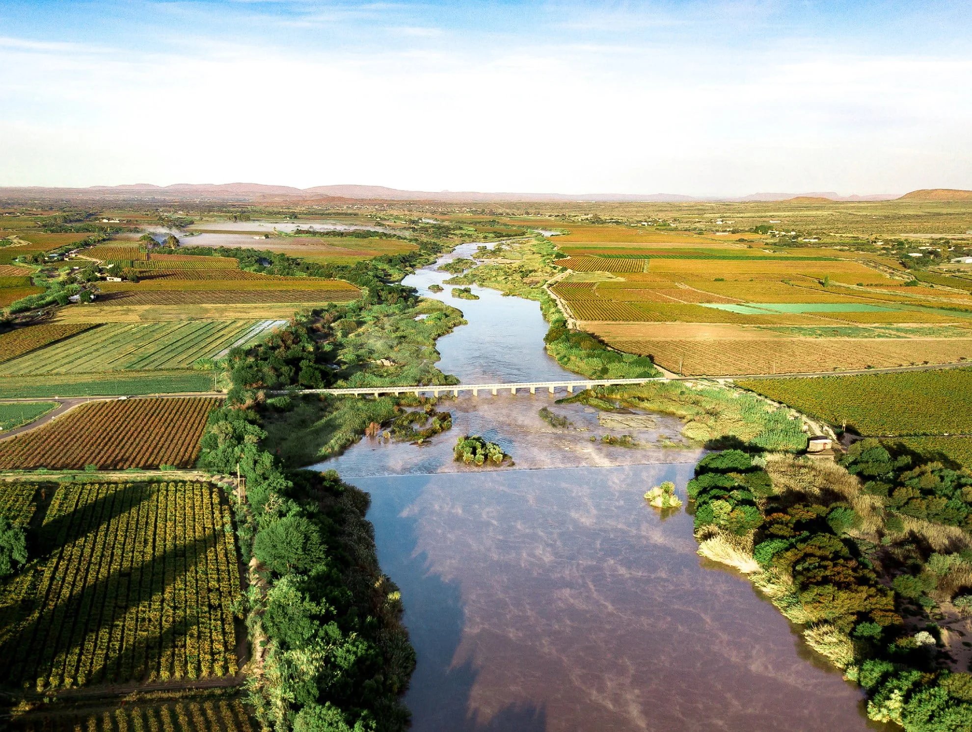 Orange River Cellars winery in Upington, South Africa