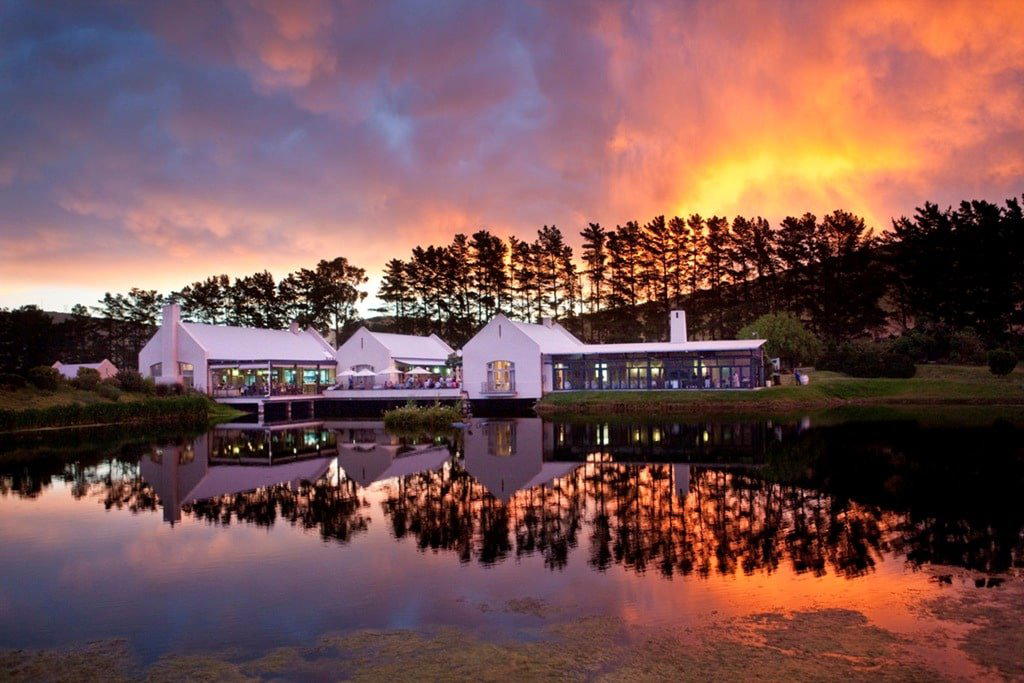 Nitida Wine Farm winery in Cape Town, South Africa