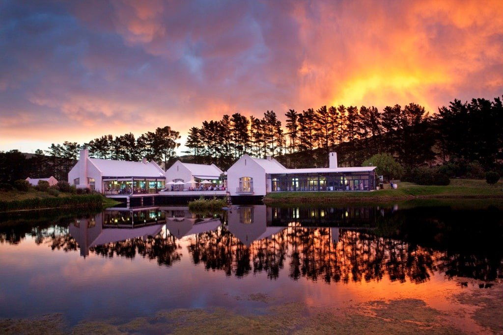 Nitida Wine Farm, Winery in Cape Town