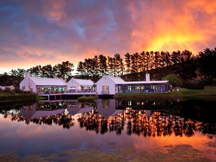 Nitida Wine Farm, Cape Town, South Africa