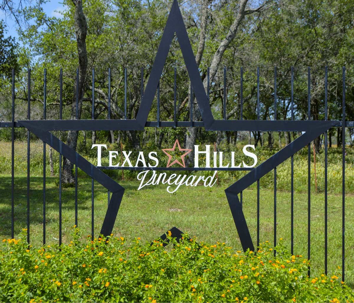 Texas Hills Vineyard winery in Johnson City, United States