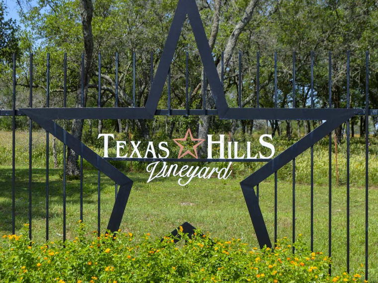 Texas Hills Vineyard, Johnson City, United States