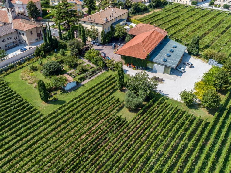 Foradori, Mezzolombardo, Italy