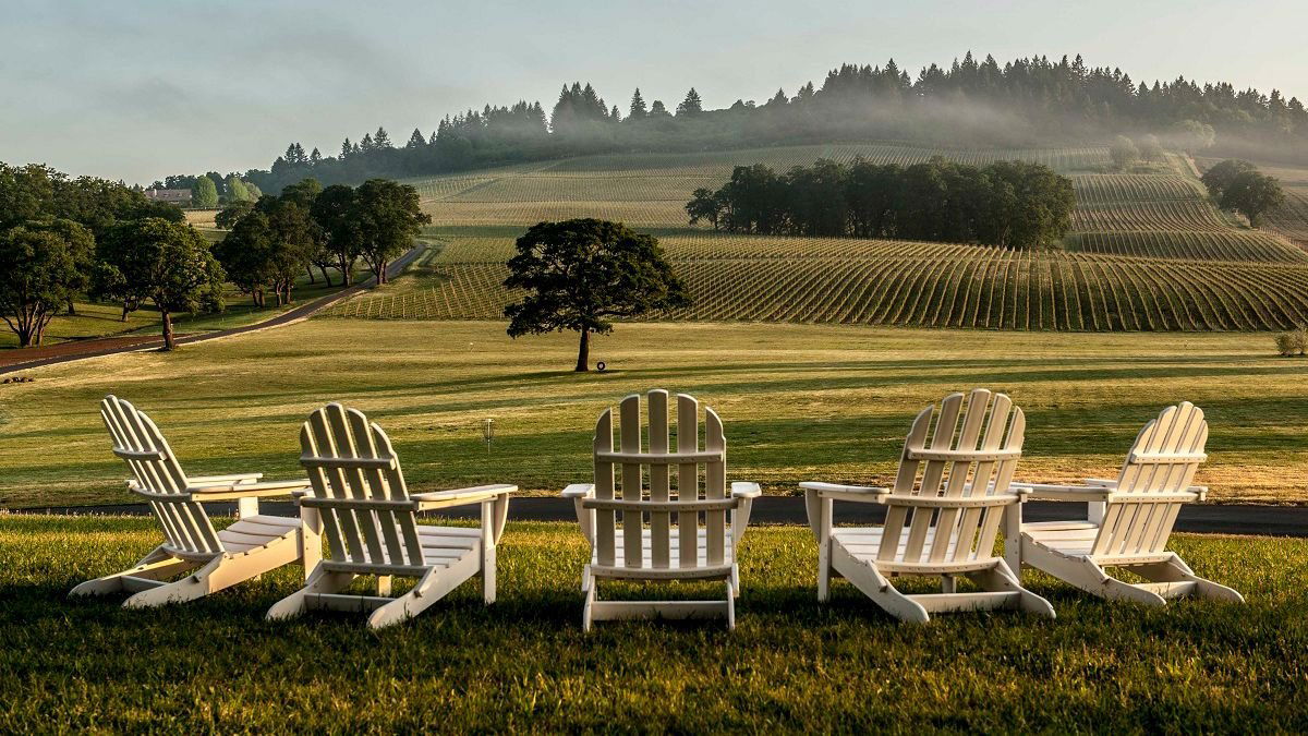 Stoller Family Estate, Winery in Dayton